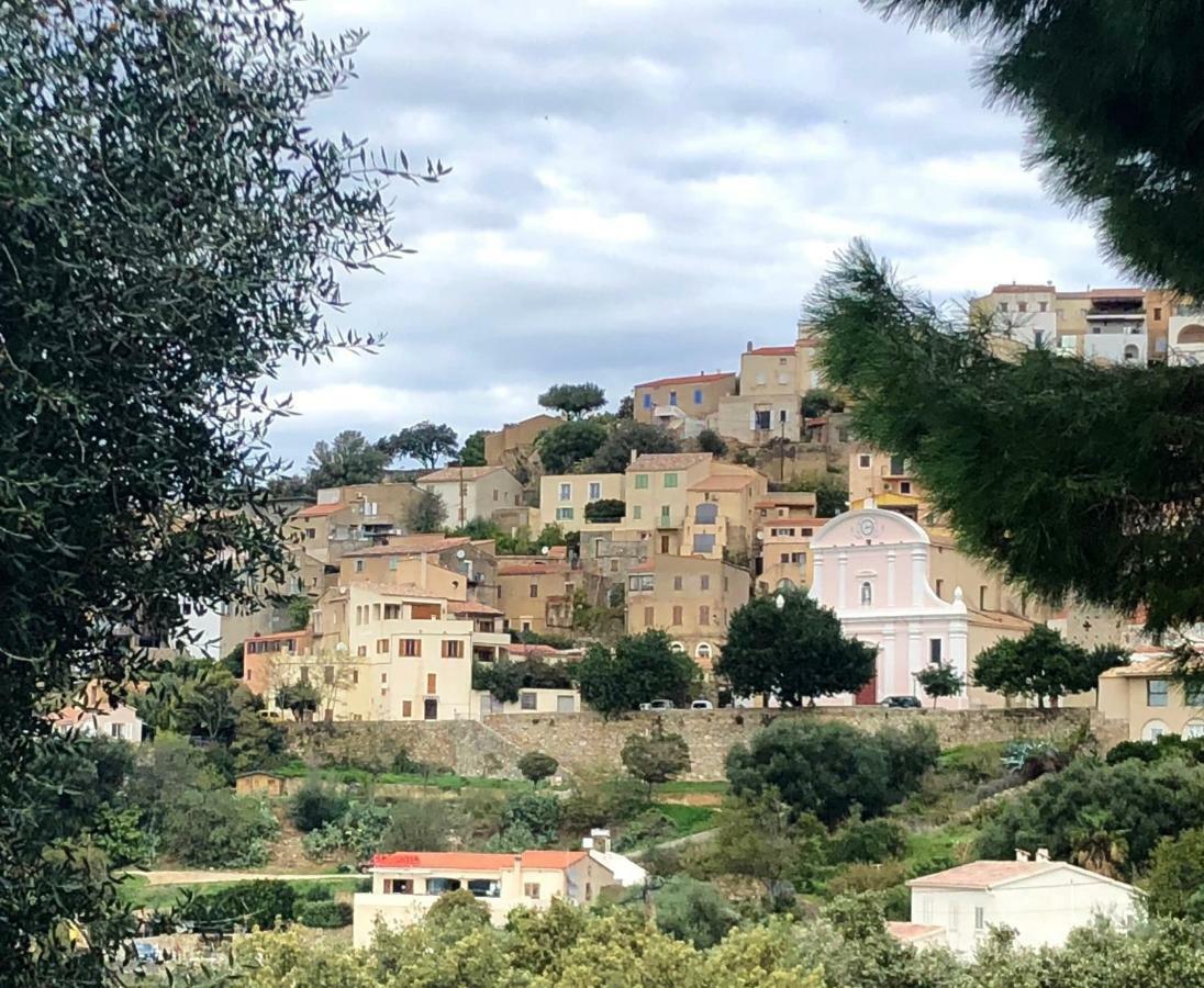 Corse - Lumio, Balagne Petite Maison Loft, Vue Imprenable Sur Le Golfe De Calvi Buitenkant foto